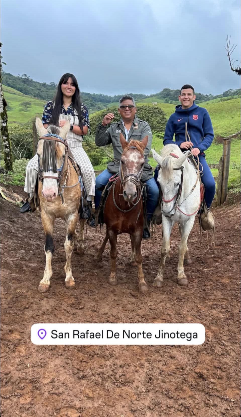 Caballo en la reserva