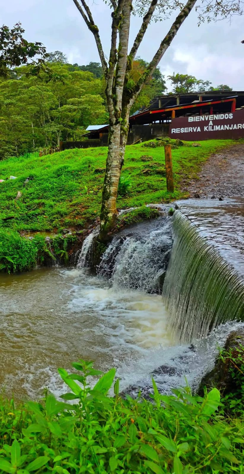 Fuente y entorno natural