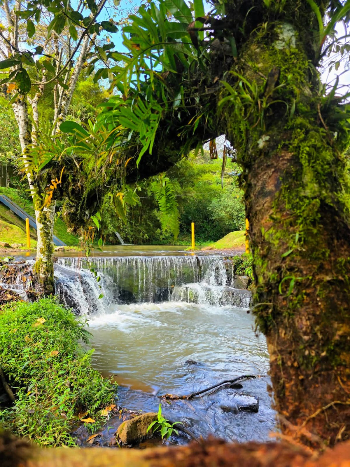 Reserva Natural Kilimanjaro - Paisaje natural